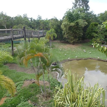 Daintree Wild Bed & Breakfast Ngoại thất bức ảnh