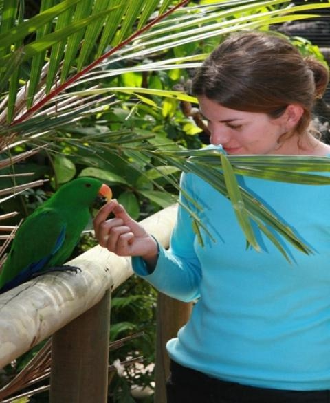 Daintree Wild Bed & Breakfast Ngoại thất bức ảnh