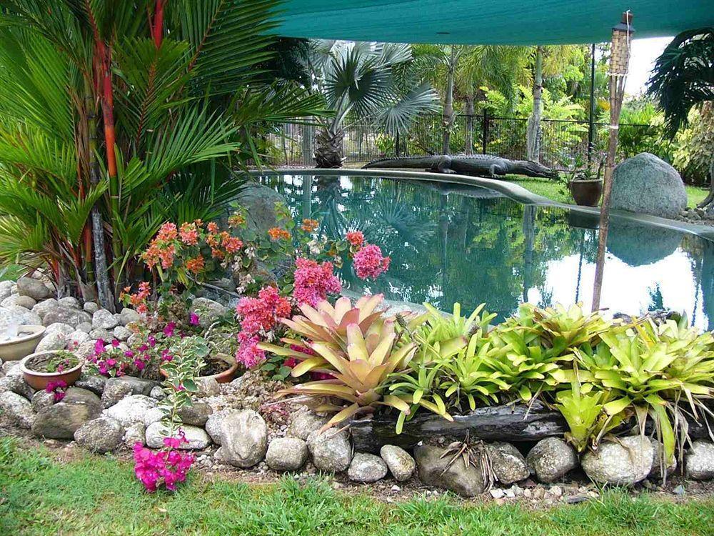 Daintree Wild Bed & Breakfast Ngoại thất bức ảnh