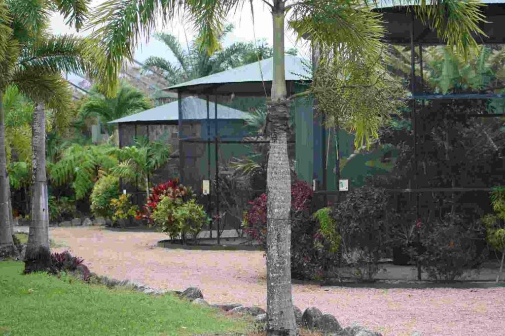 Daintree Wild Bed & Breakfast Ngoại thất bức ảnh