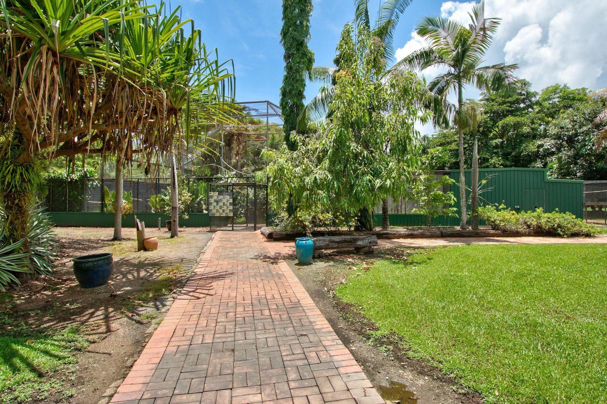 Daintree Wild Bed & Breakfast Ngoại thất bức ảnh