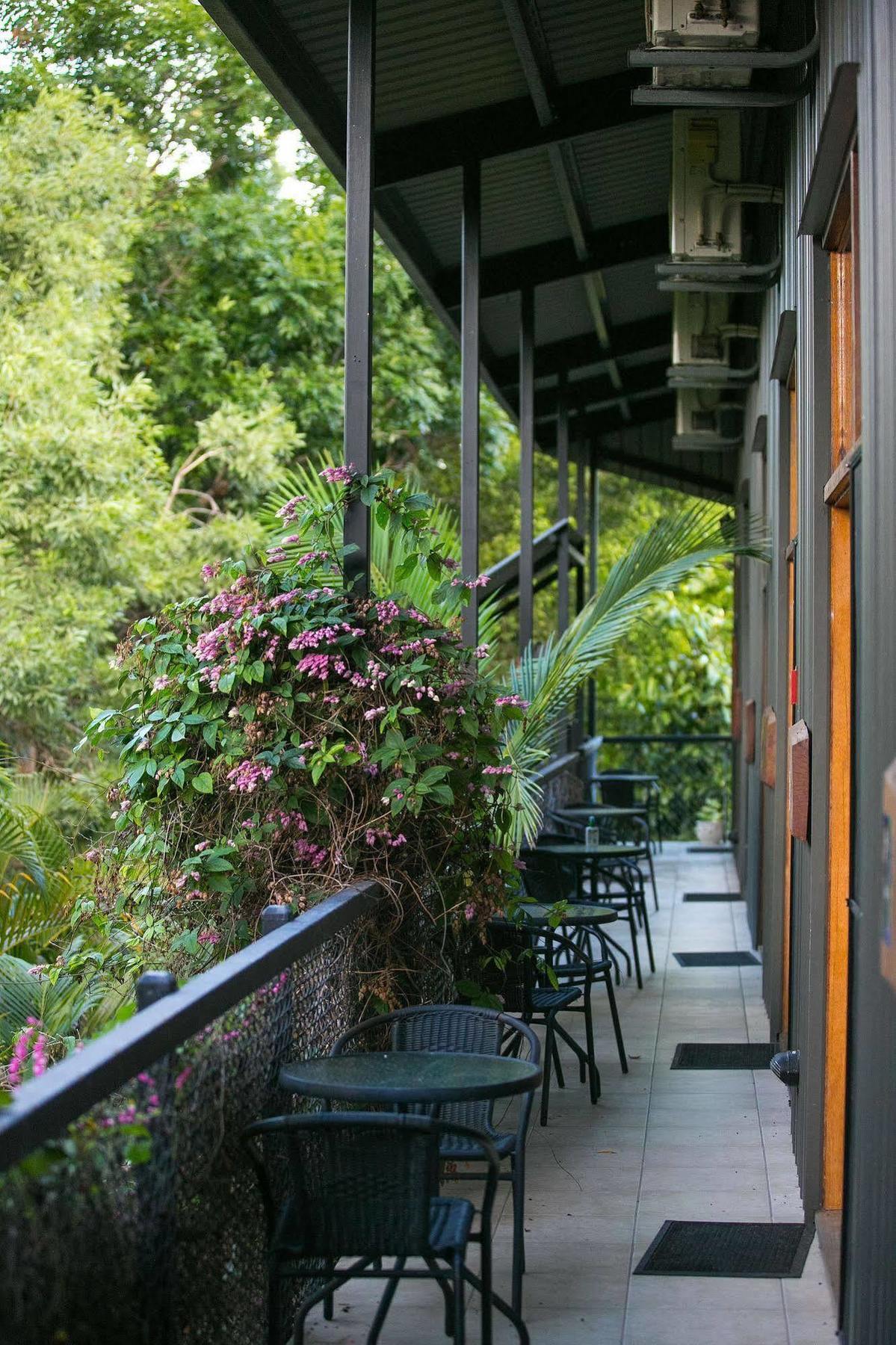 Daintree Wild Bed & Breakfast Ngoại thất bức ảnh